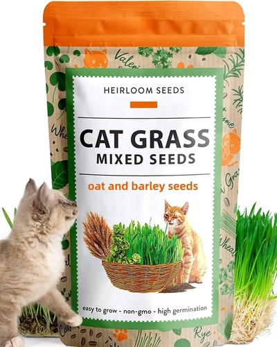 600 cat grass seeds - cat,