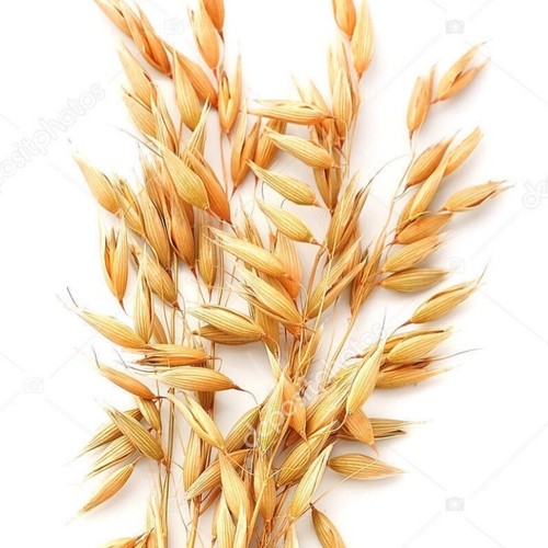 Whole oats 300 - whole, seeds