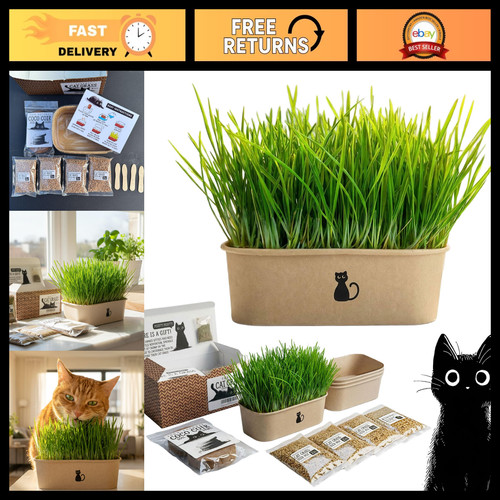 Indoor cat grass grow - indoor, kit