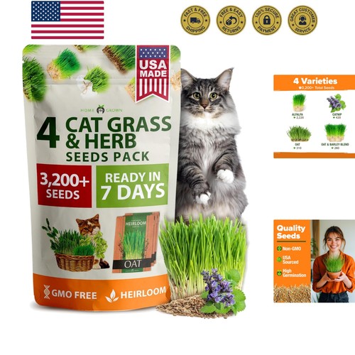 3200 indoor cat - cat, refill