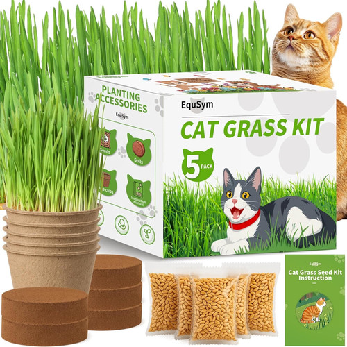 5pack cat grass - grass,