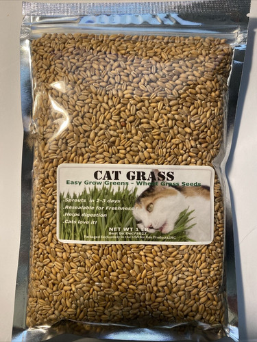 Cat grass 1lb - cat, seeds
