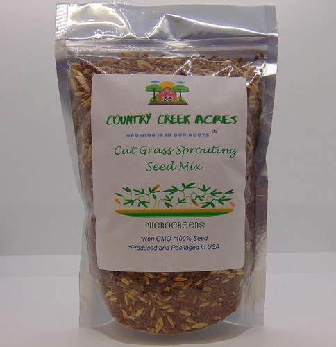 Cat grass mix - cat, 12