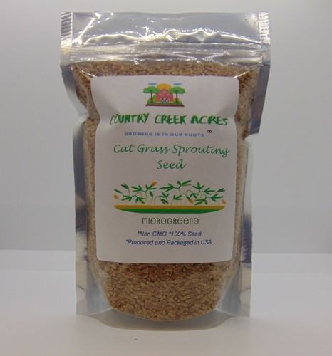 Cat grass - cat,