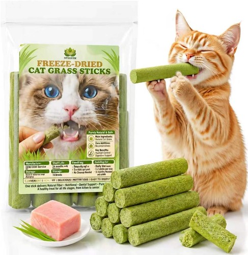Cat grass sticks for - grass, indoor